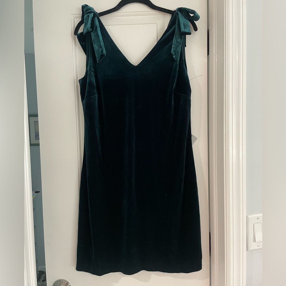 Brand new velvet Vince Camuto dress with bow sleeves